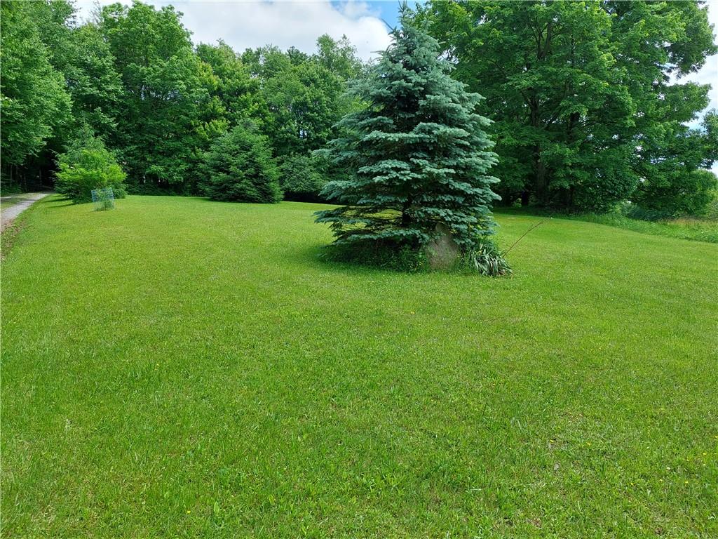 3258 Old Rte 8 Polk, PA 16342 - Photo 6 of 25 Gallery Image 6