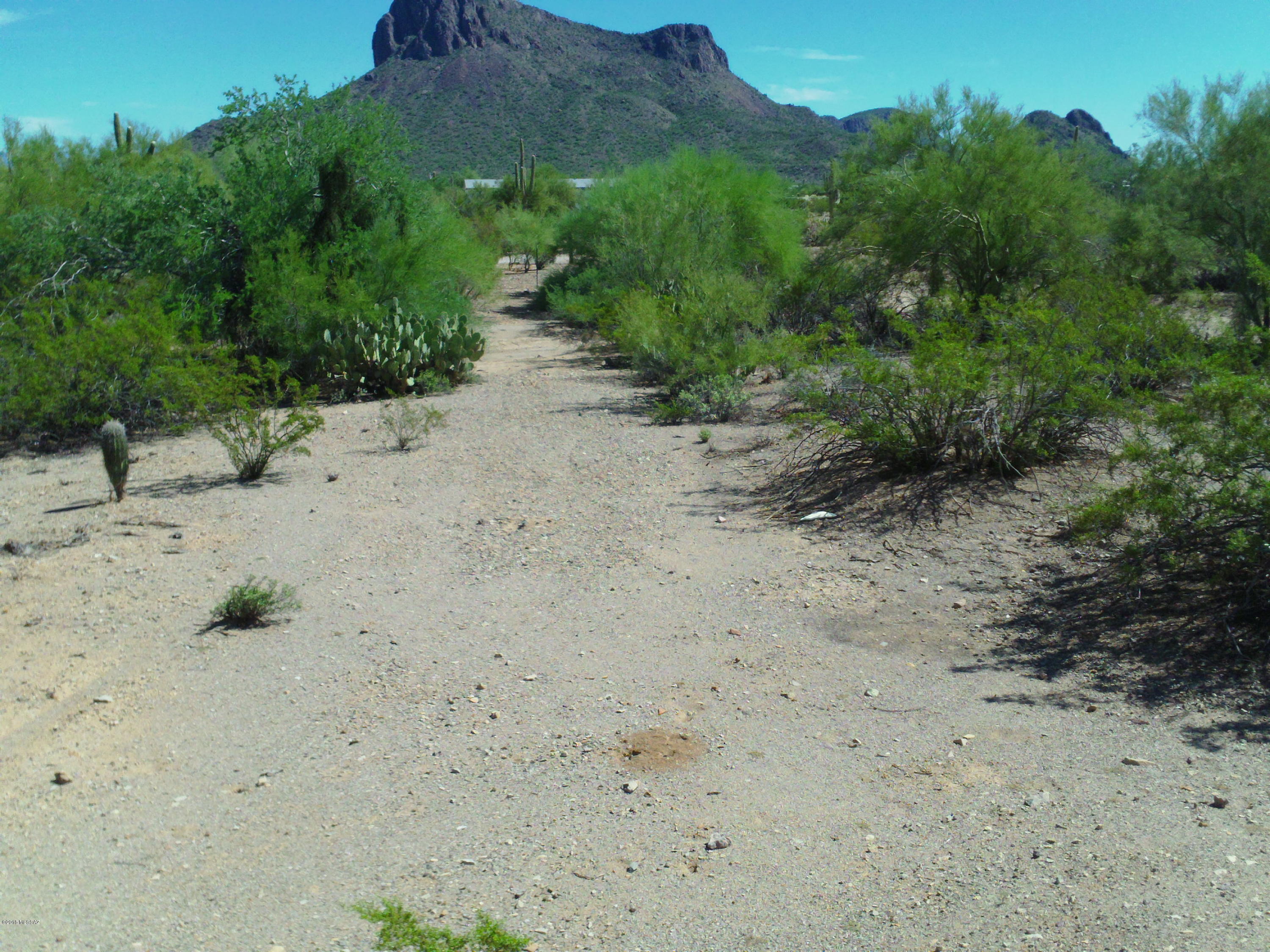 Massingale (roxy Rd) Road Tucson, AZ 85743 - Photo 5 of 11