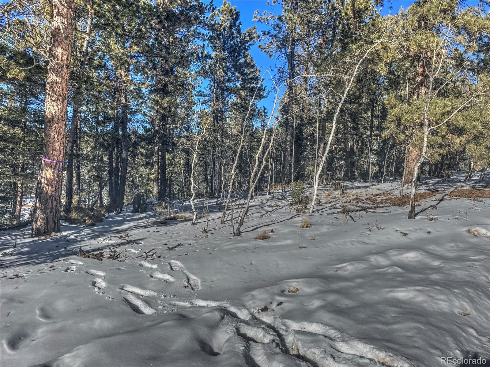 3379 Pathfinder Road Florissant, CO 80816 - Photo 8 of 15 Gallery Image 8