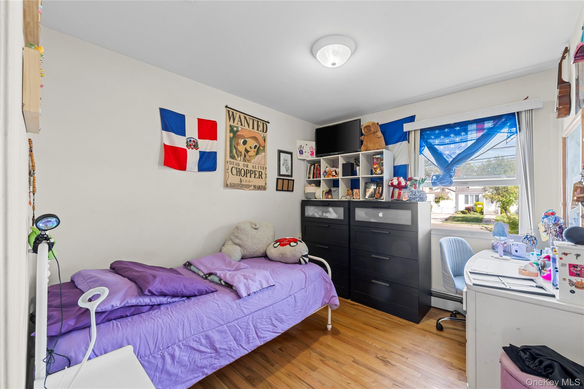 372 Madison Street Franklin Square, NY 11010 - Photo 9 of 26