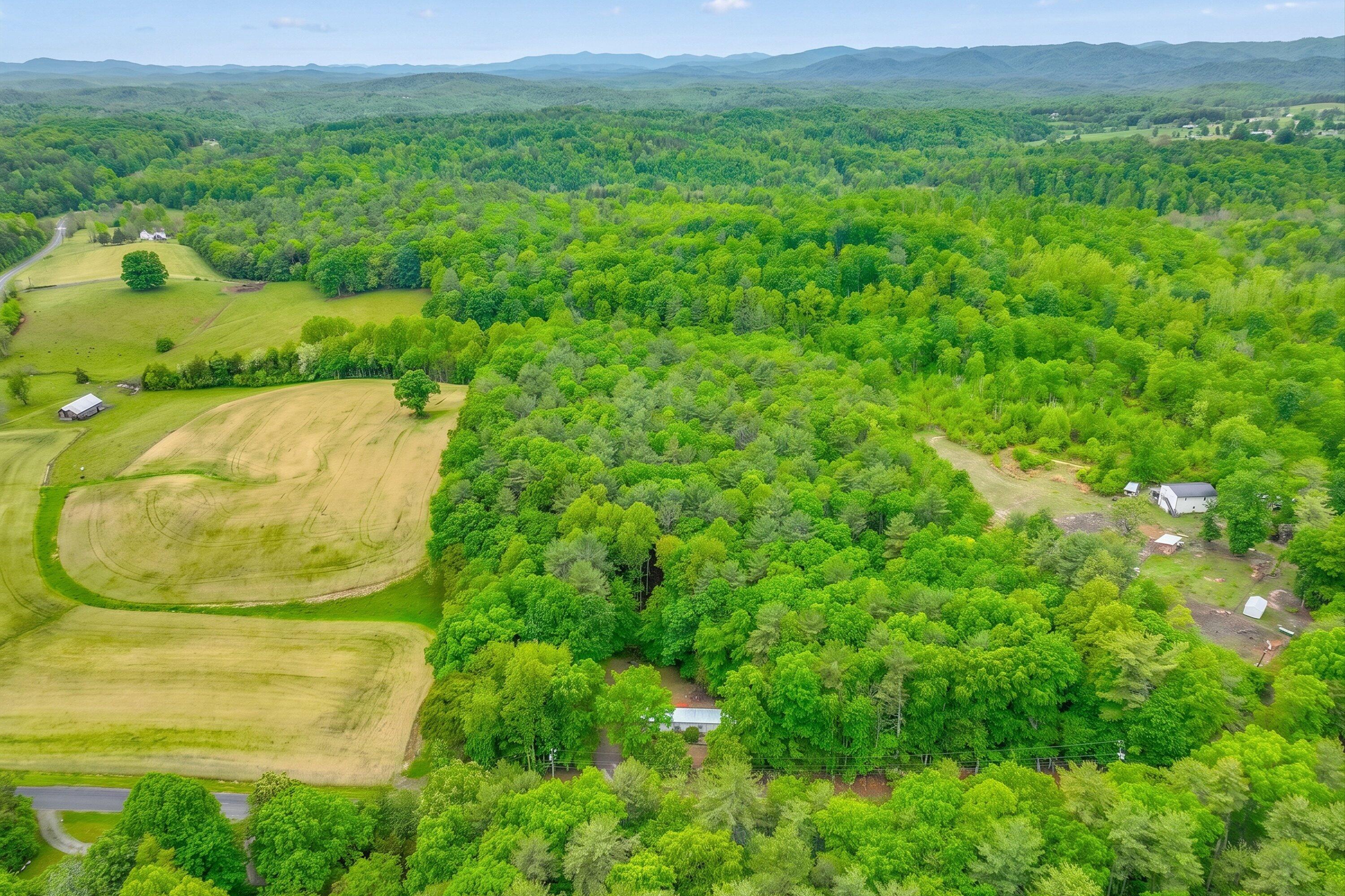 a view of a big yard with large trees