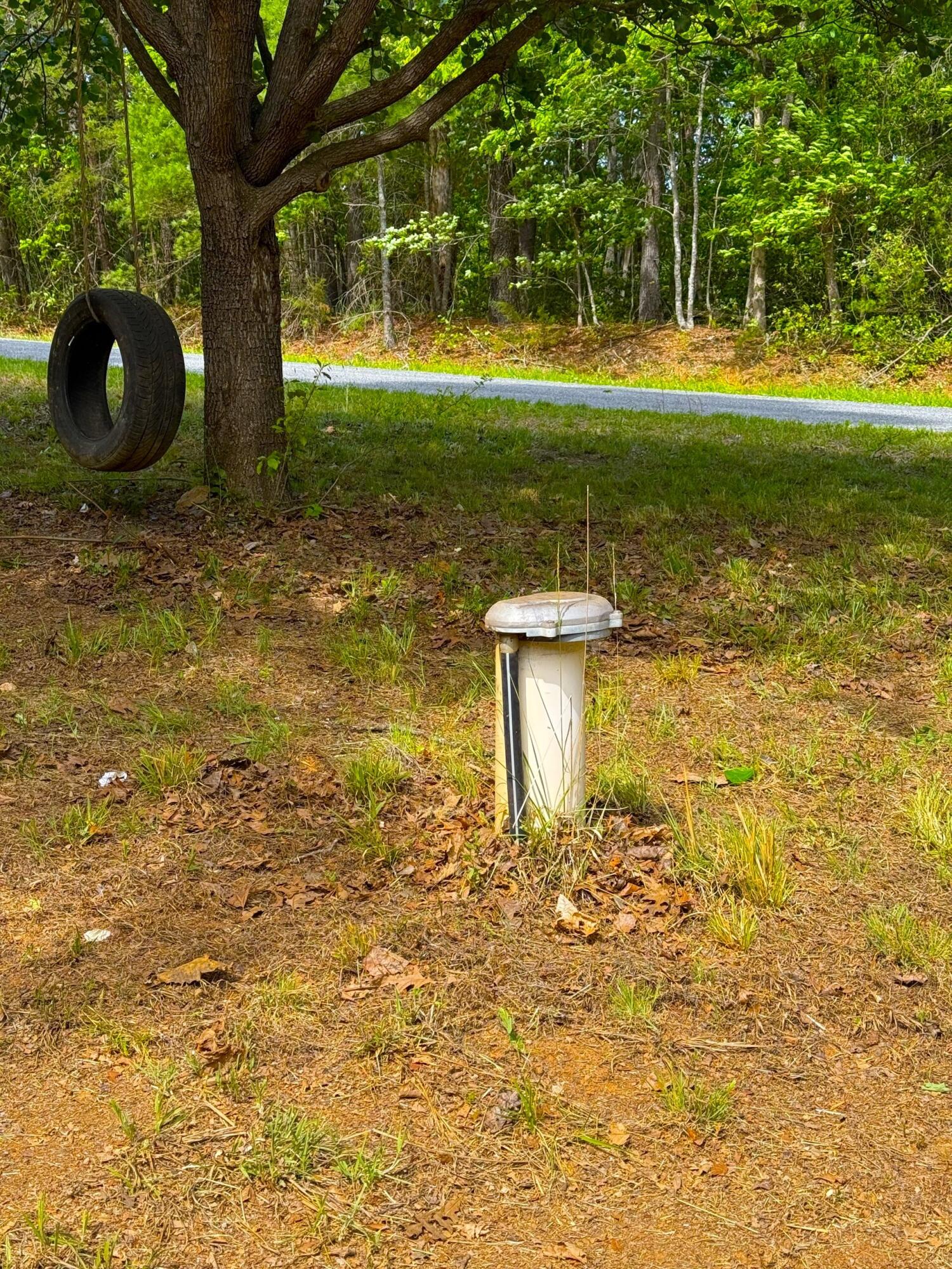 183 Pernello Road Ferrum, VA 24088 - Photo 22 of 24 a view of a garden with large trees