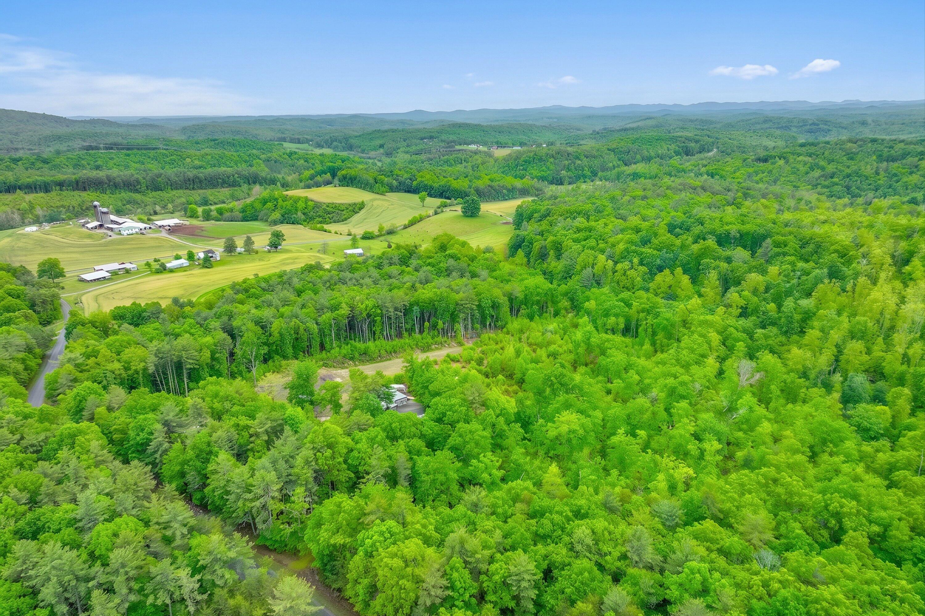 183 Pernello Road Ferrum, VA 24088 - Photo 5 of 24 a view of a field with lots of bushes