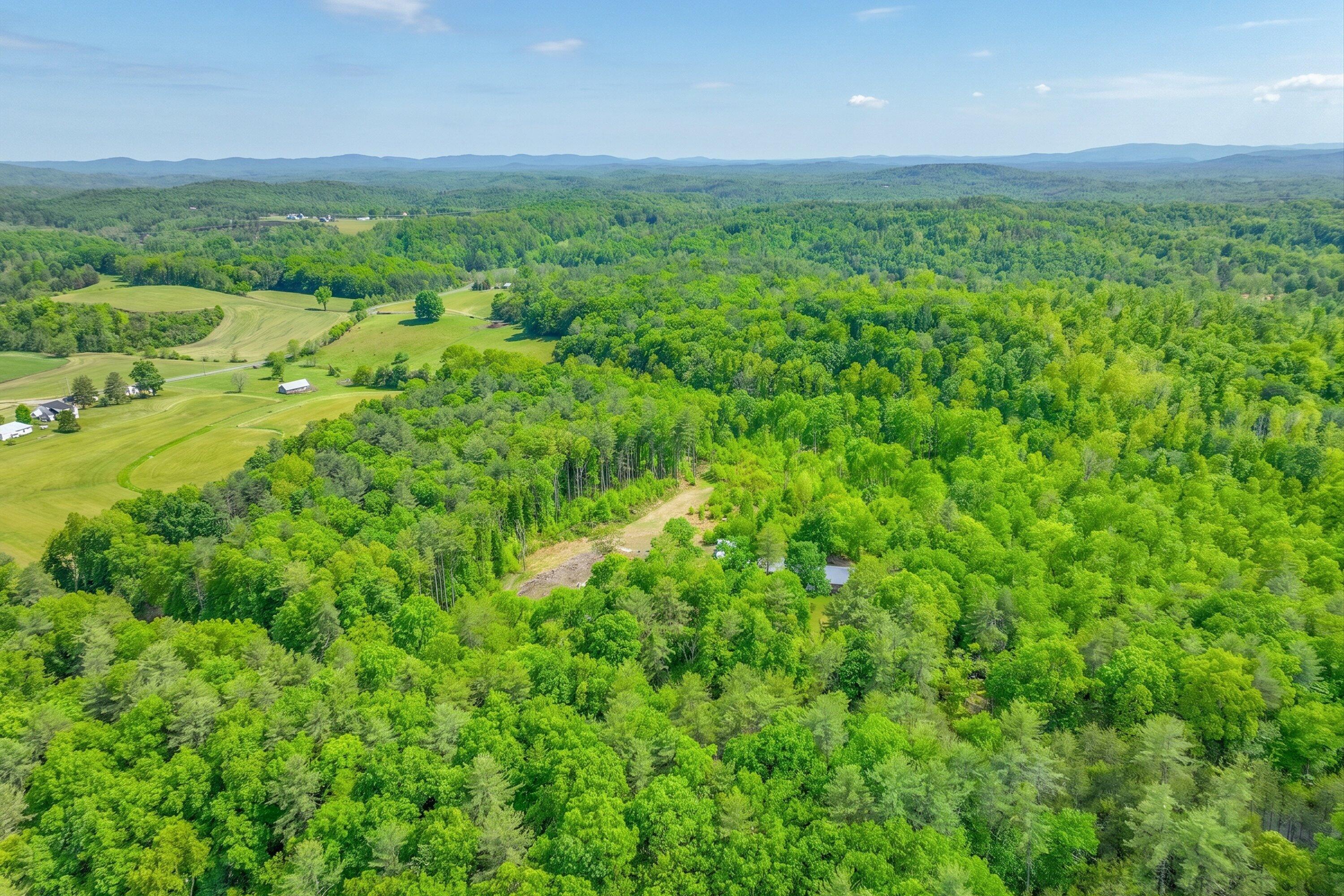 183 Pernello Road Ferrum, VA 24088 - Photo 6 of 24 a view of a lush green space
