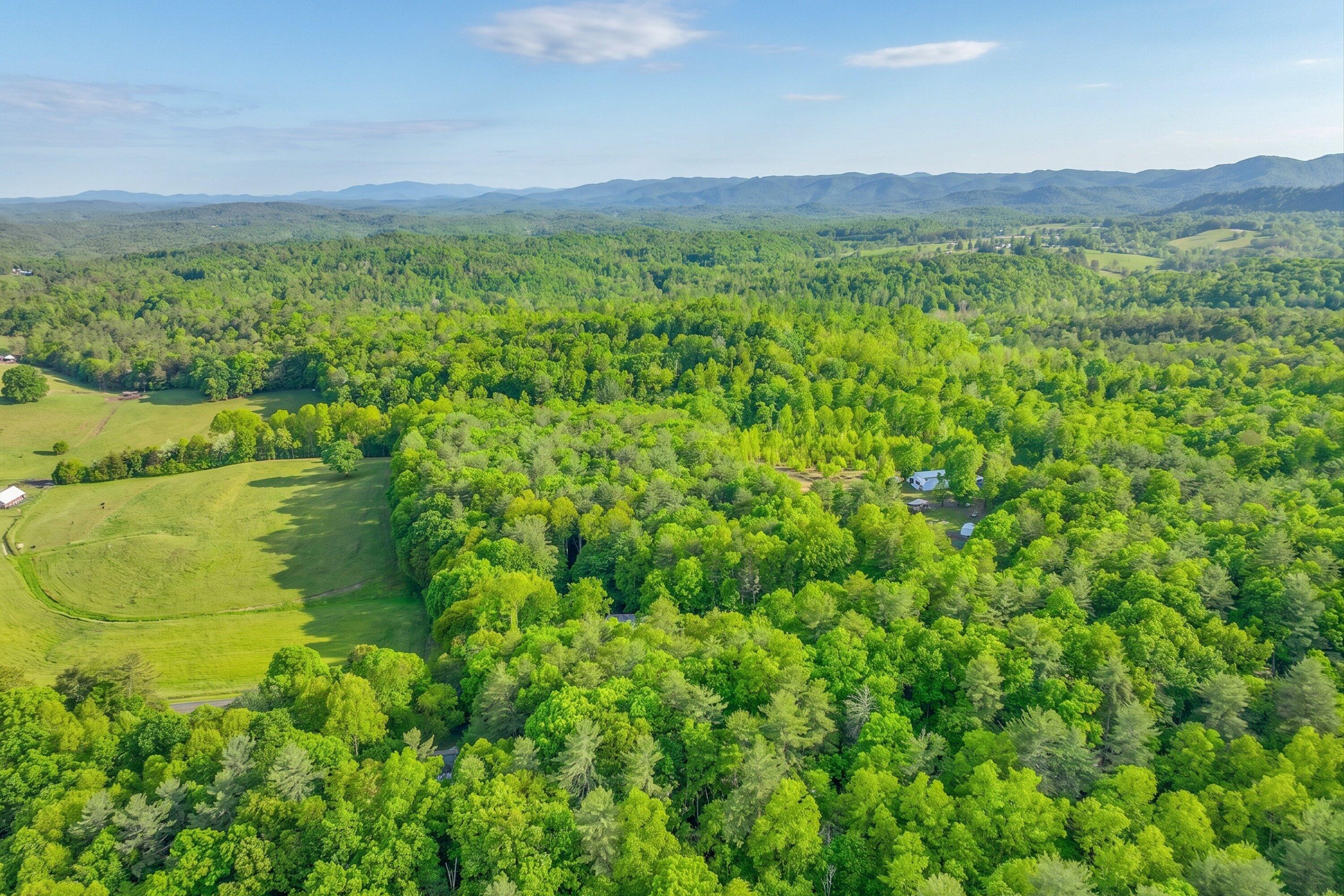 183 Pernello Road Ferrum, VA 24088 - Photo 7 of 24 a view of a lush green field