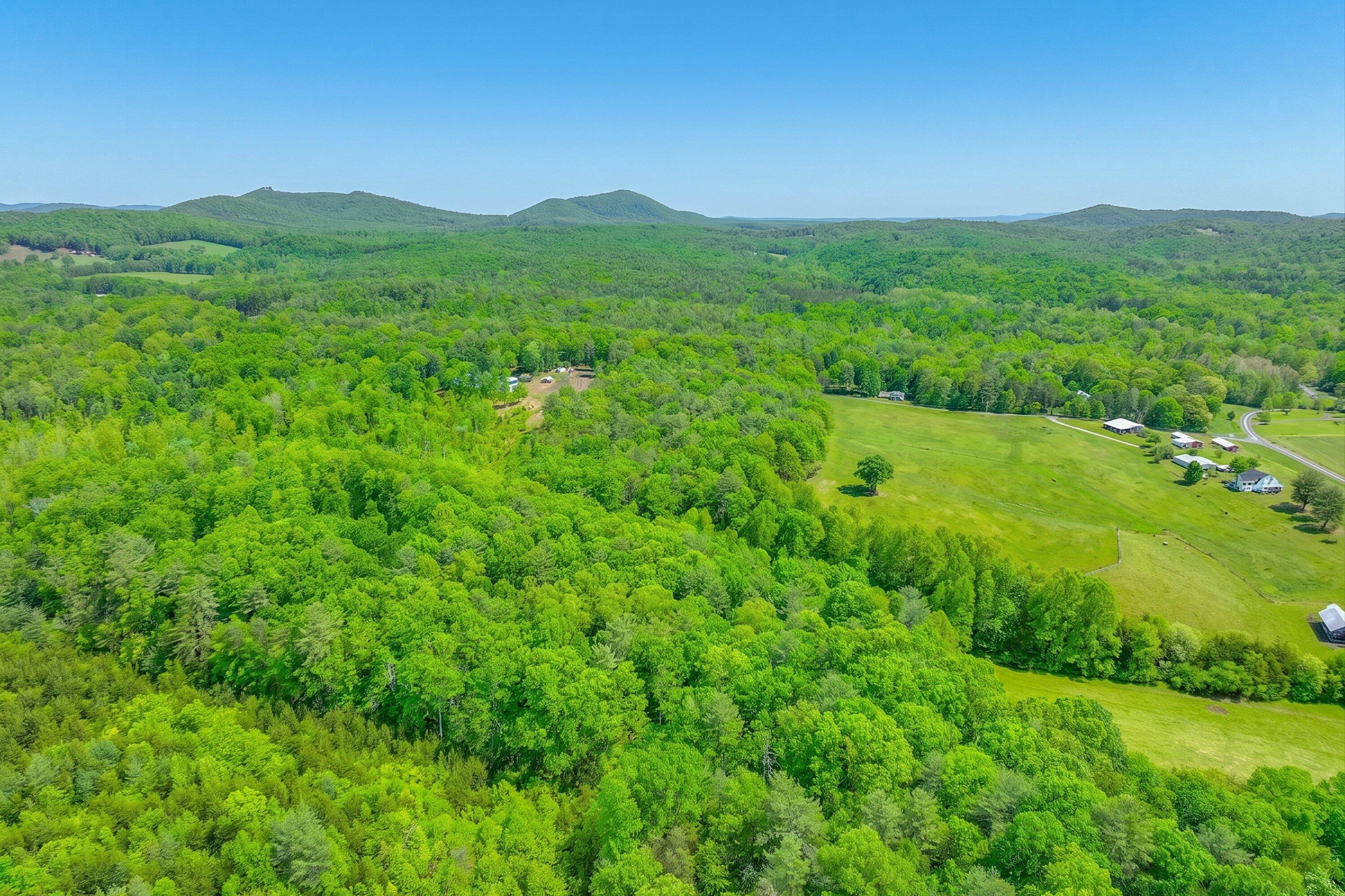 183 Pernello Road Ferrum, VA 24088 - Photo 9 of 24 a view of a lush green hillside and a houses
