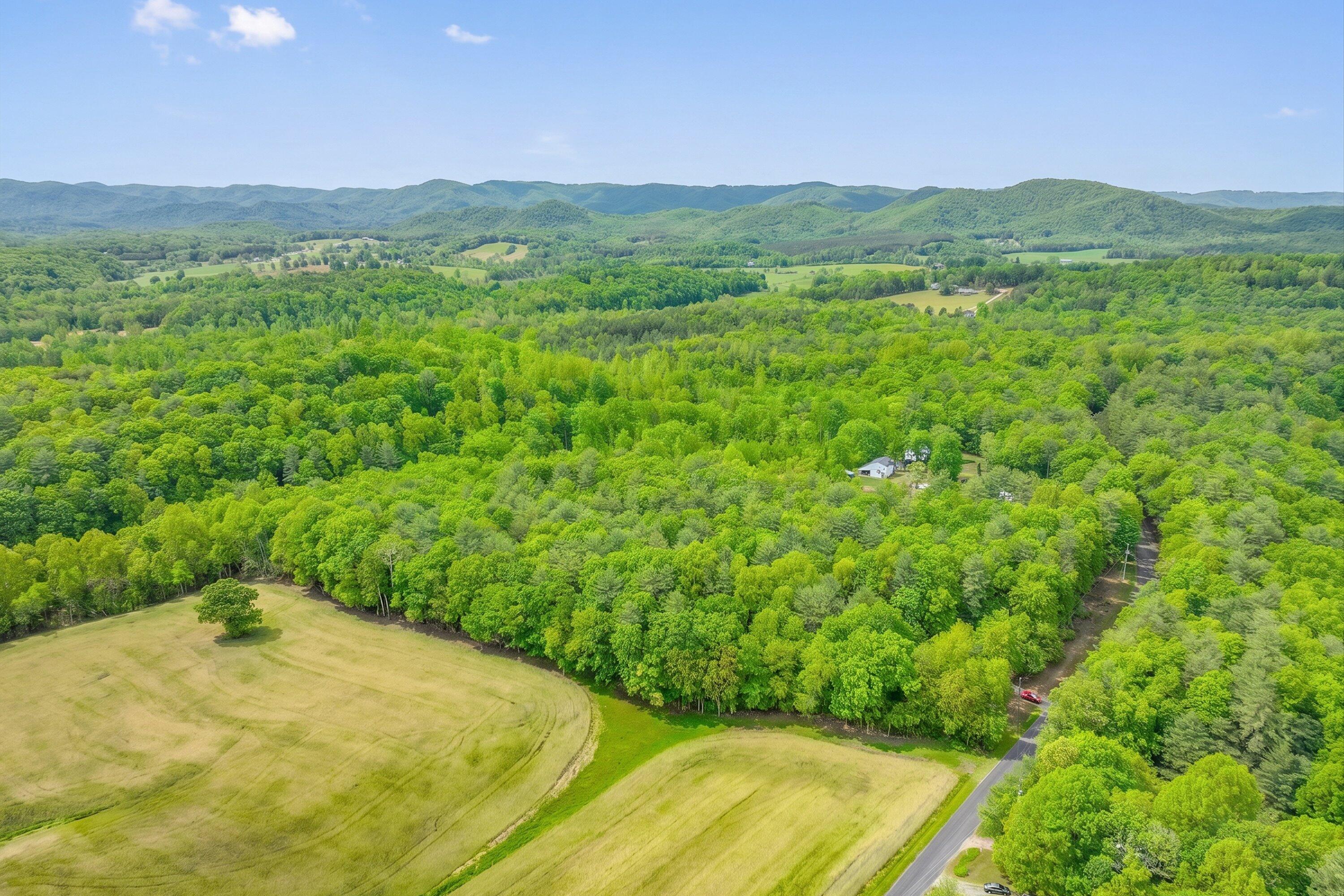 183 Pernello Road Ferrum, VA 24088 - Photo 10 of 24 a view of a big yard with lots of green space and mountain view