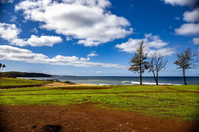 a living room with furniture floor to ceiling window and wooden floor