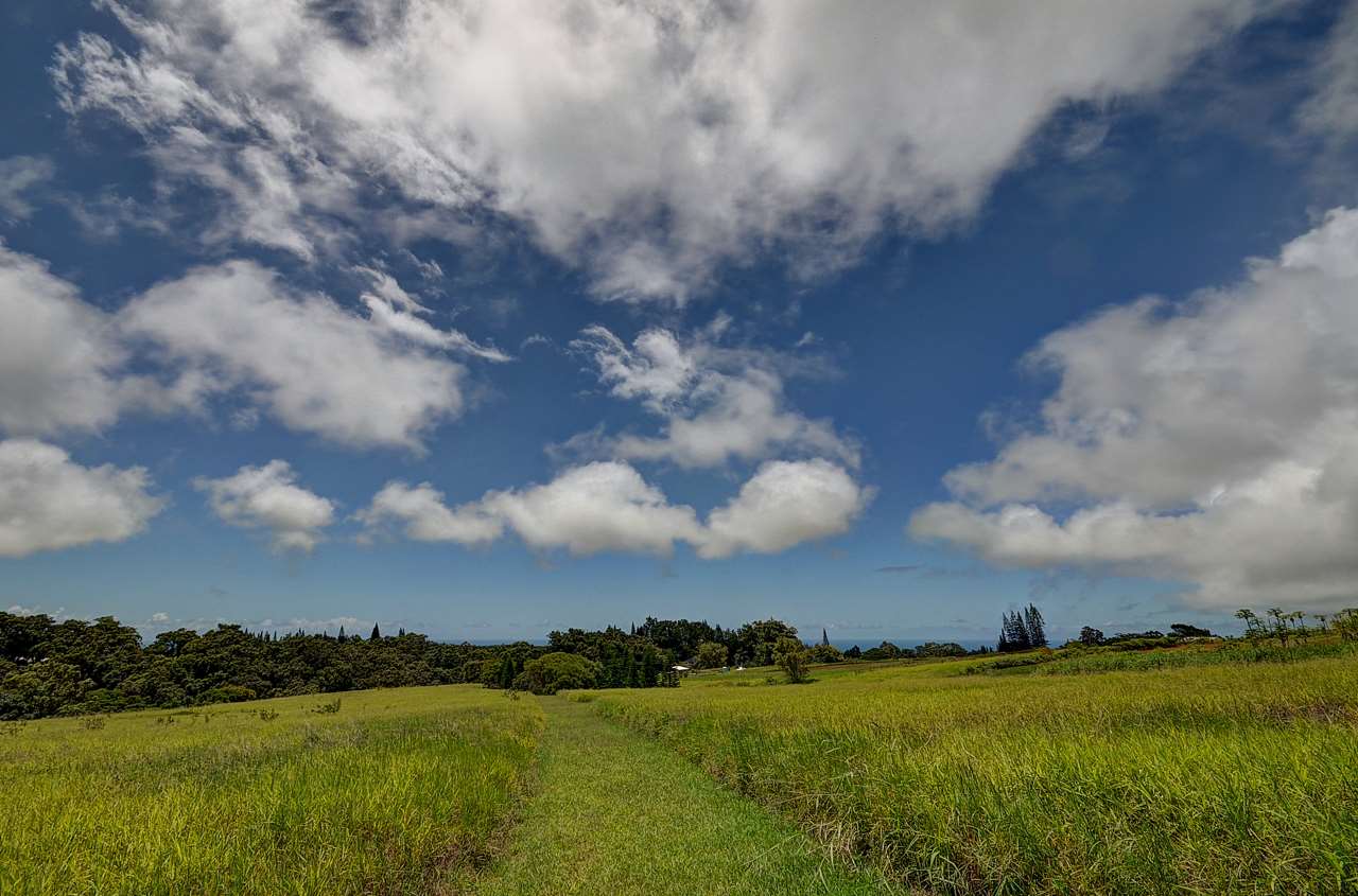 3910 Lepo Street Haiku, HI 96708 - Photo 14 of 15 a view of lake and city