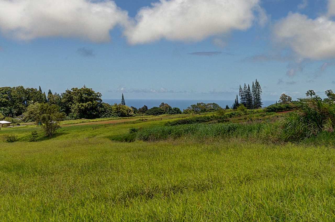 3910 Lepo Street Haiku, HI 96708 - Photo 3 of 15 a view of a lake with a yard