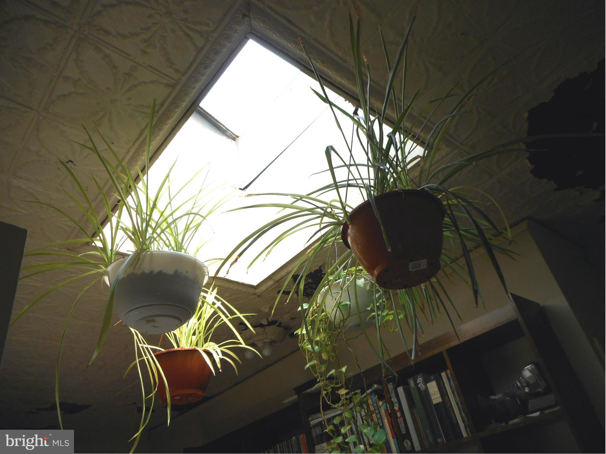 1320 K Street Southeast Washington, DC 20003 - Photo 9 of 12 Interior (General)