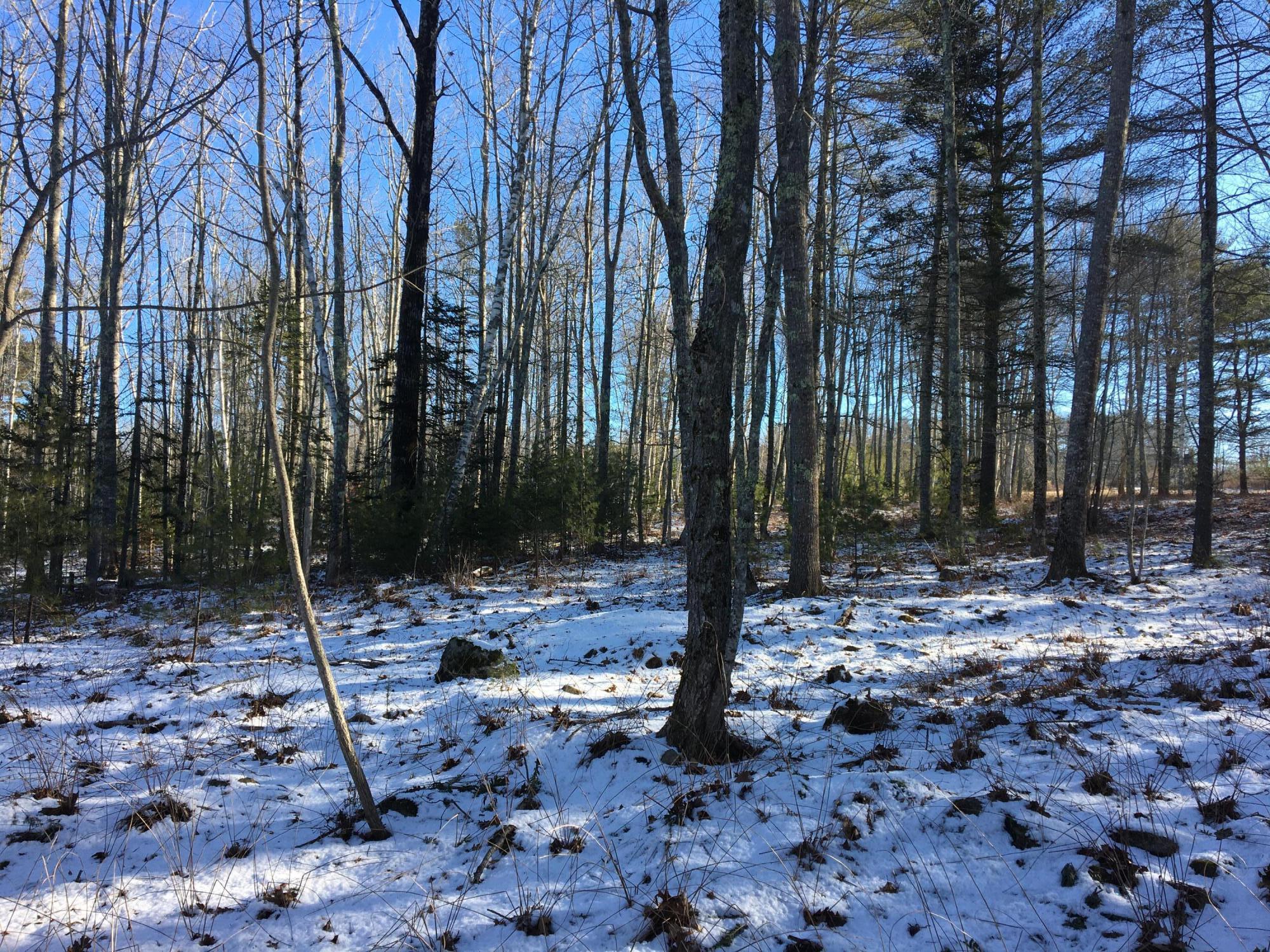 471 Wottons Mill Road Union, ME 04862 - Photo 13 of 15 IMG_2278