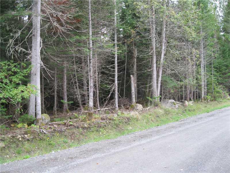 12-56 Gile Road Rangeley, ME 04970 - Photo 8 of 9 Land/Lot.