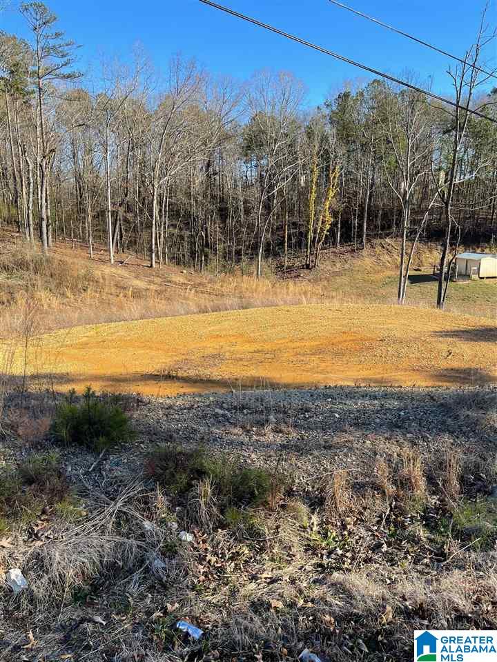 0 West 49th Street, Unit 17 Anniston, AL 36201 - Photo 4 of 5