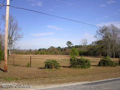 914 Roberts Road Newport, NC 28570 - Photo 4 of 4 Addtl. Lot View