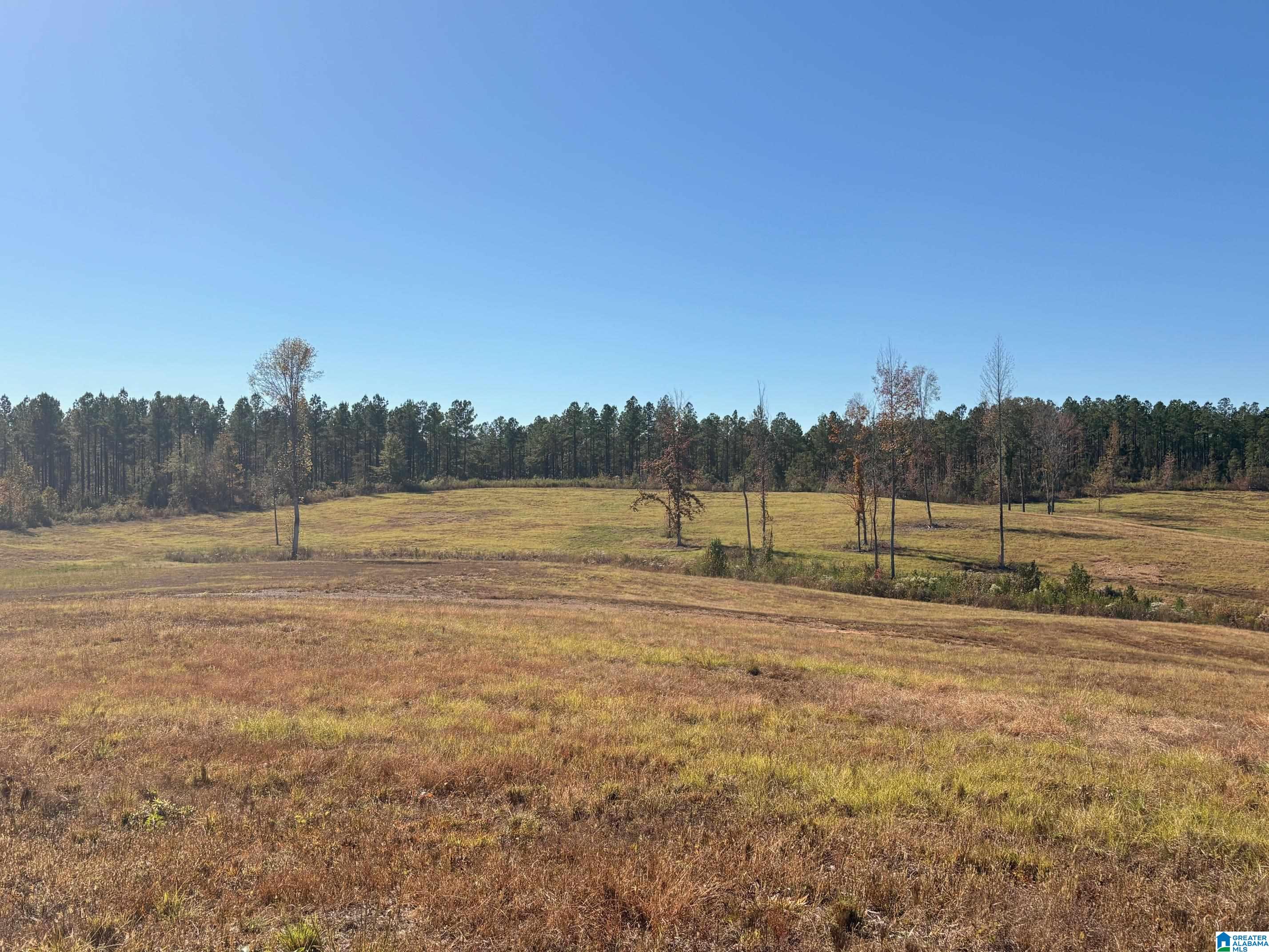 3679 Chelsea Road, Unit 2 Columbiana, AL 35051 - Photo 7 of 13