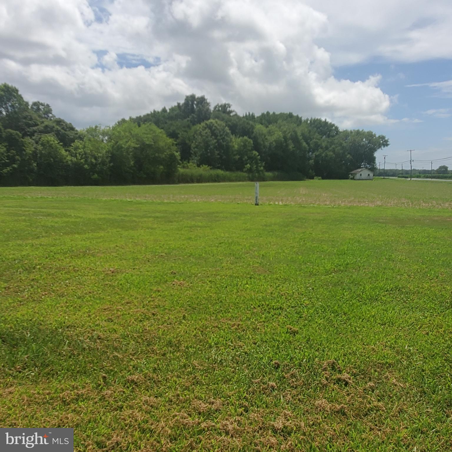 68 Amwellbury Road Salem, NJ 08079 - Photo 8 of 23 a view of a green field