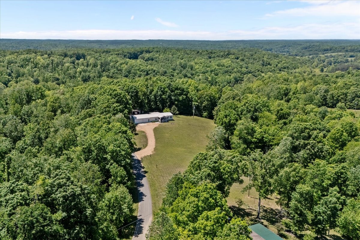 254 Shiloh Hollow Road Erin, TN 37061 - Photo 44 of 63