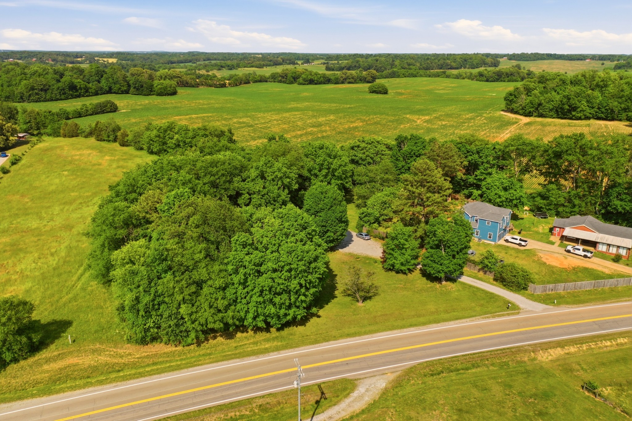6471 Highway 161 Springfield, TN 37172 - Photo 52 of 57 a view of a garden with an outdoor space