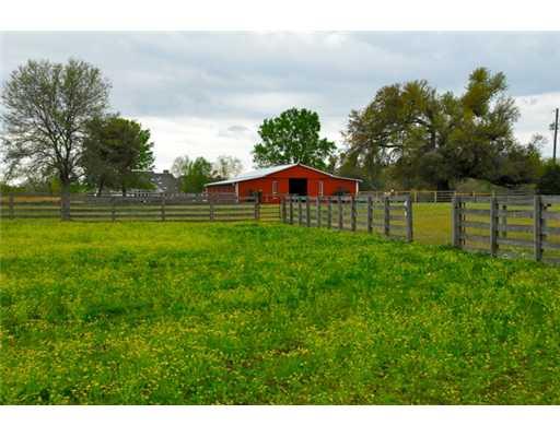 81005 Robinson Road Folsom, LA 70437 - Photo 3 of 14 Gallery Image 3