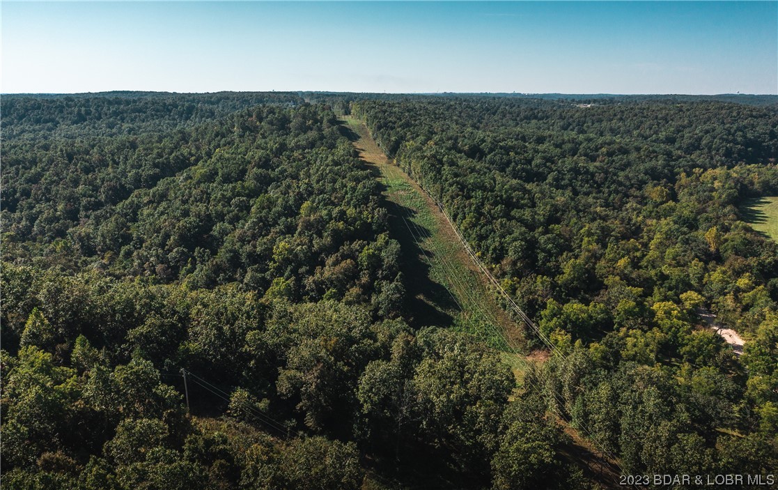 41600 Texas Road St. Robert, MO 65584 - Photo 13 of 40