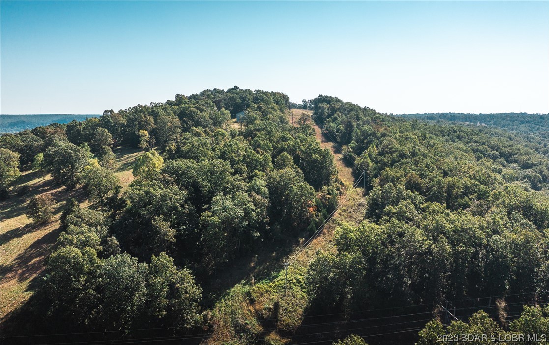 41600 Texas Road St. Robert, MO 65584 - Photo 6 of 40