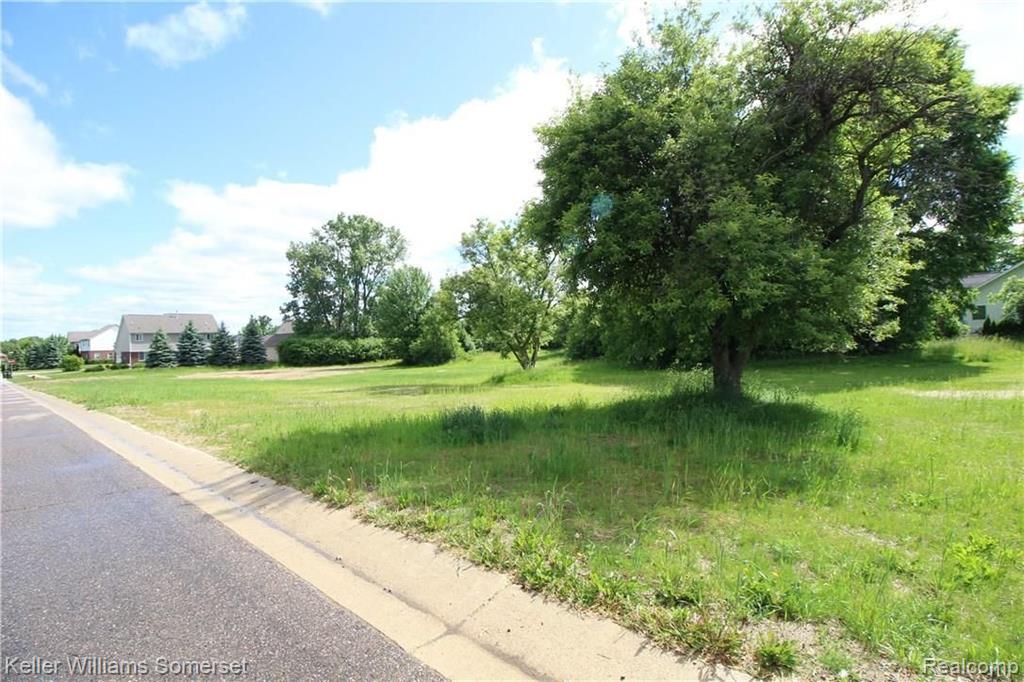 0 Mildred Avenue Rochester, MI 48309 - Photo 8 of 19