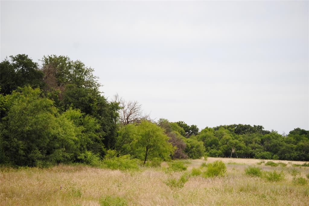 127 Rising Star Tx 76857 May, TX 76857 - Photo 5 of 17