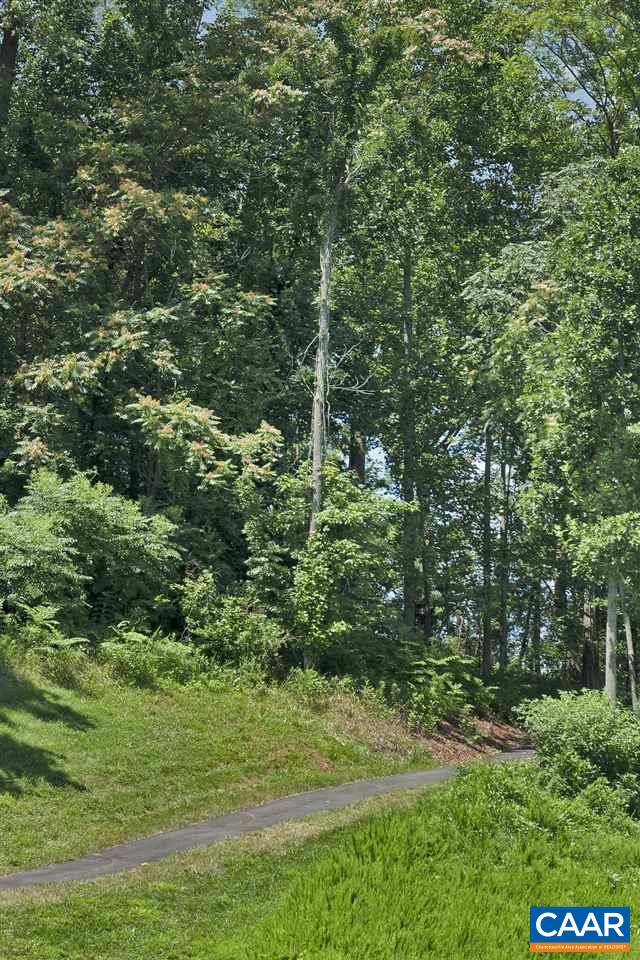 357 Rolkin Road Charlottesville, VA 22911 - Photo 36 of 37 a view of a lush green forest