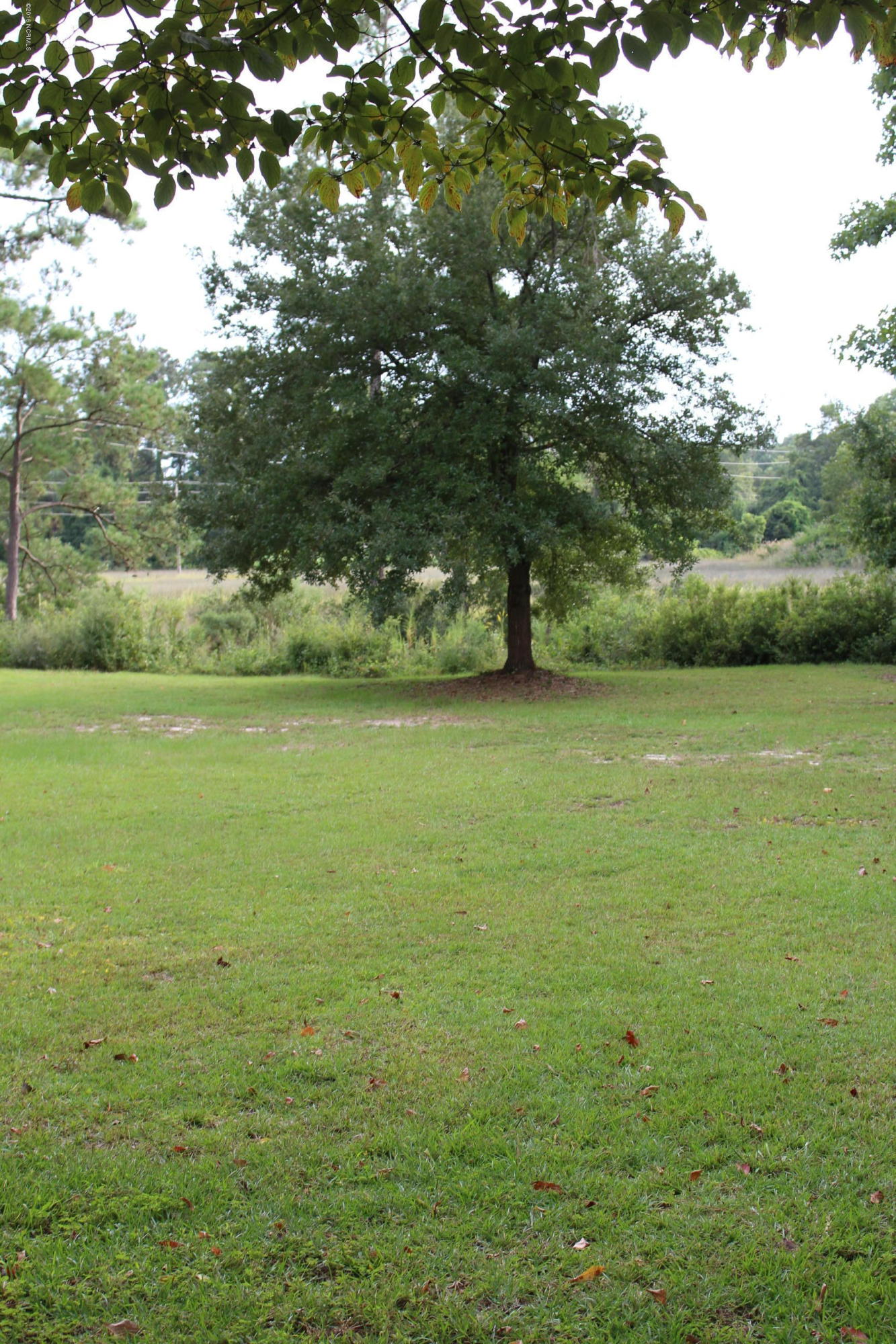 614 Sandfiddler Pointe Road Wilmington, NC 28409 - Photo 4 of 7 IMG_4449