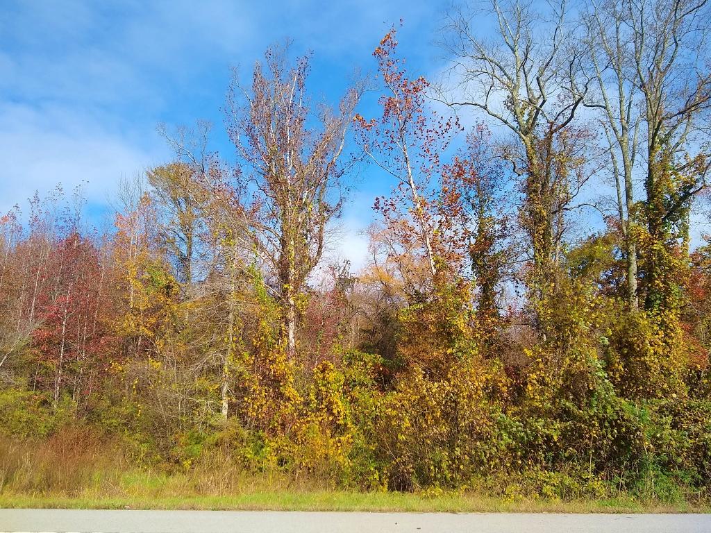 IMG_20201112_135212407