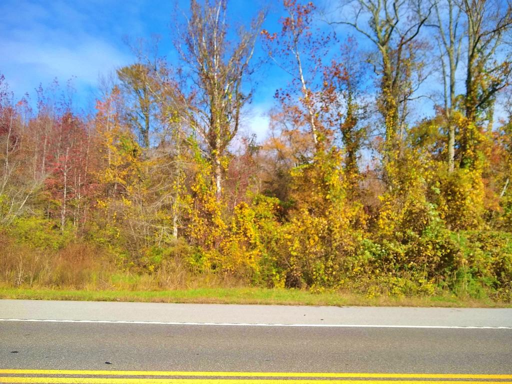 30 Decatur Tn 37322 Decatur, TN 37322 - Photo 6 of 9 IMG_20201112_135243954