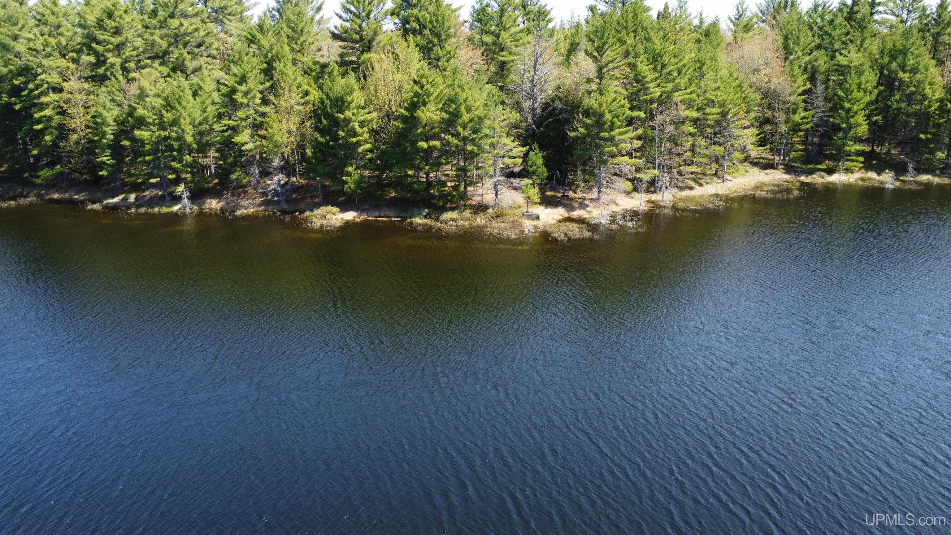 Off Adams Trail Shingleton, MI 49884 - Photo 7 of 46