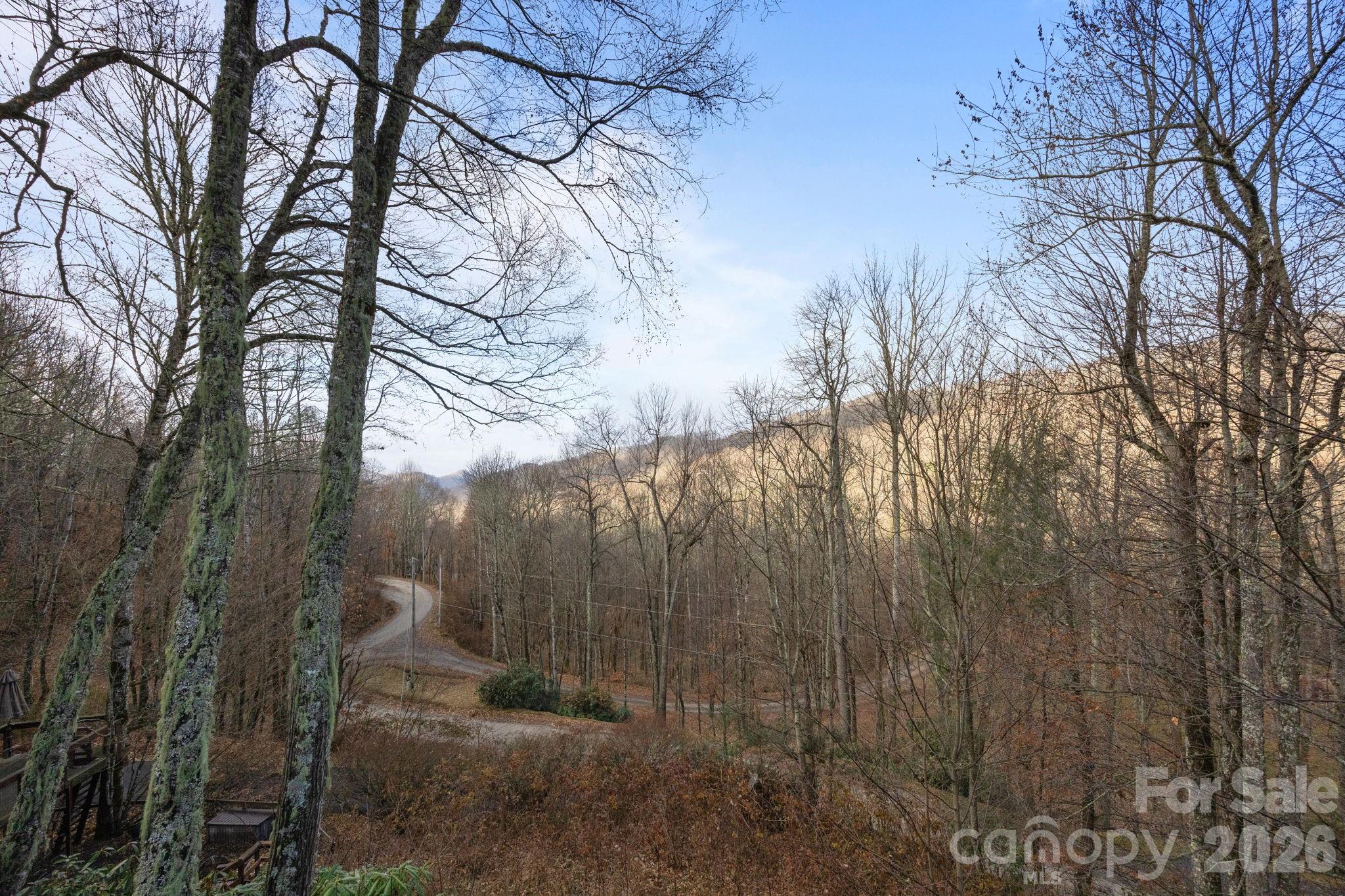 959 Plott Balsam Road Maggie Valley, NC 28751 - Photo 31 of 39