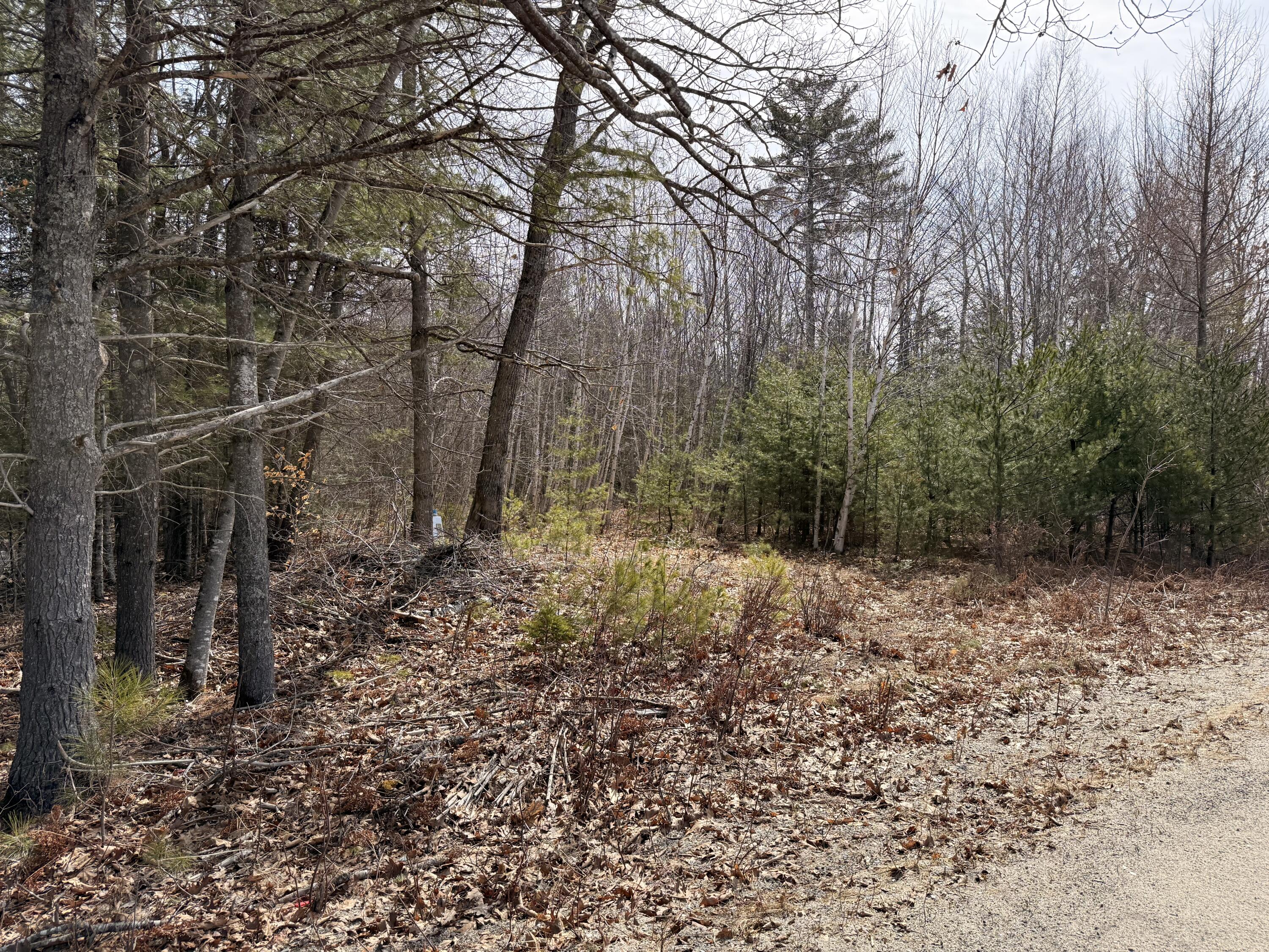 Lot #5 Mohawk Road Enfield, ME 04493 - Photo 5 of 7