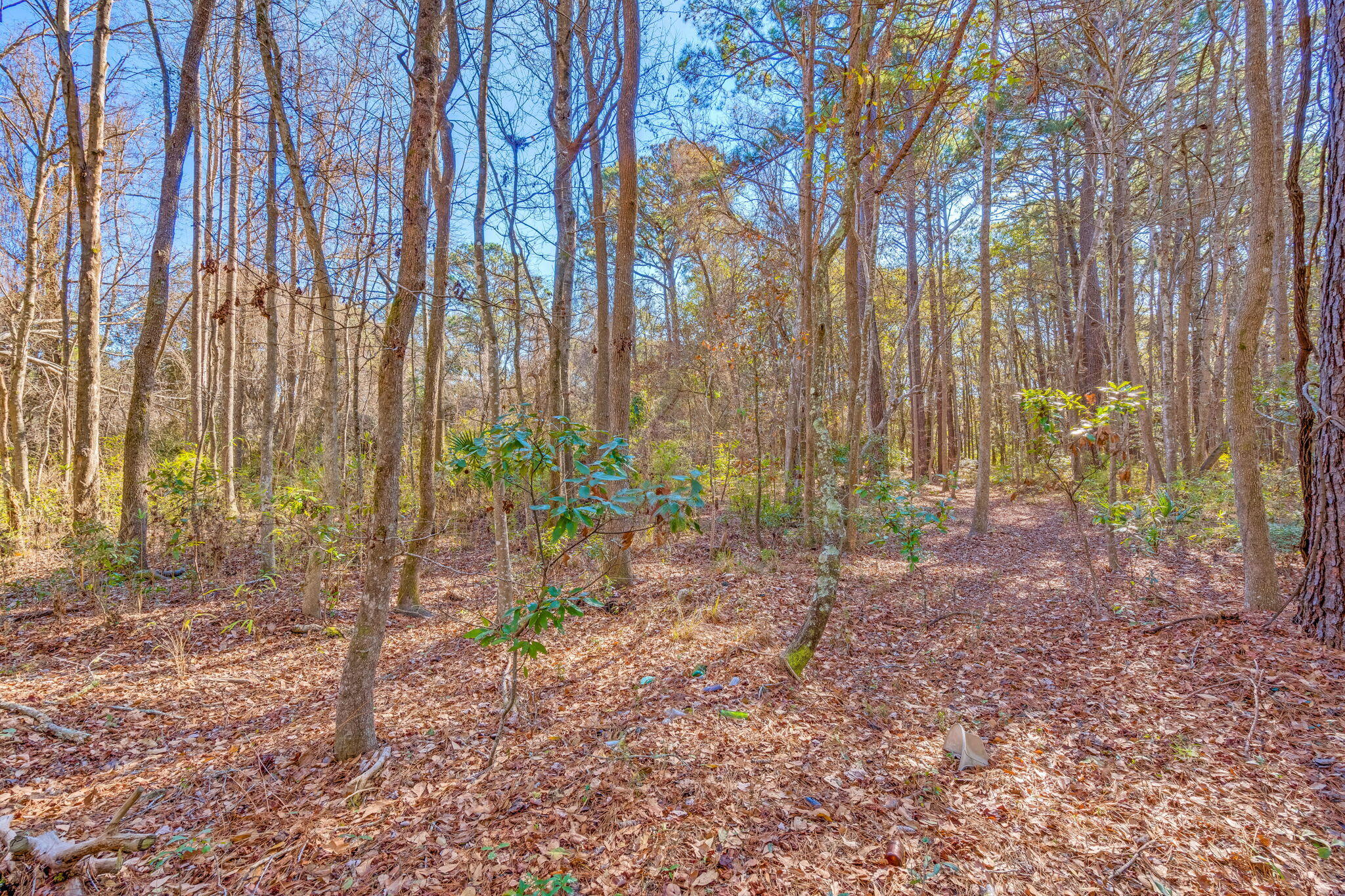 3149 Thomas Jones Road Johns Island, SC 29455 - Photo 13 of 17 12