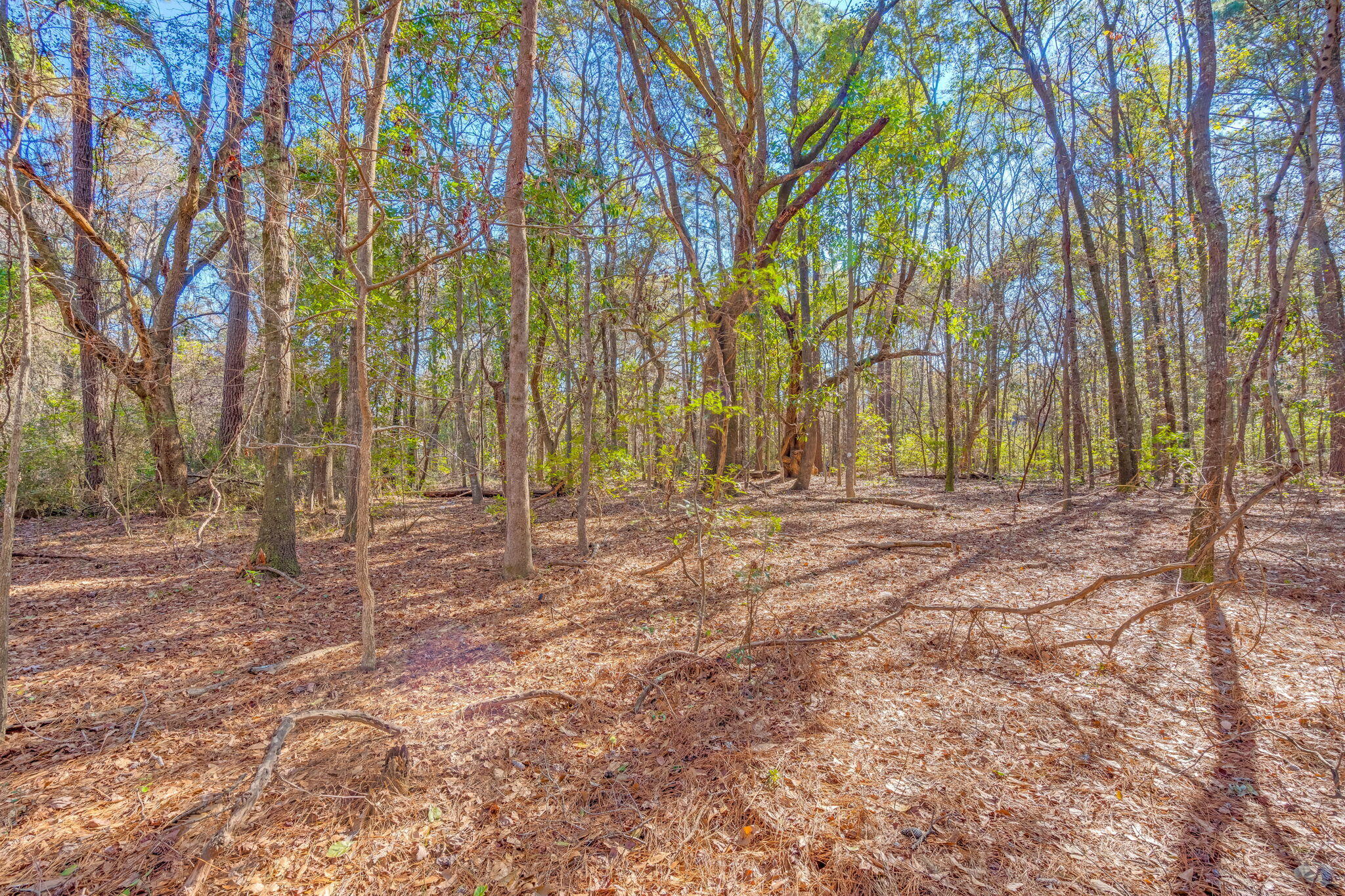 3149 Thomas Jones Road Johns Island, SC 29455 - Photo 15 of 17 14