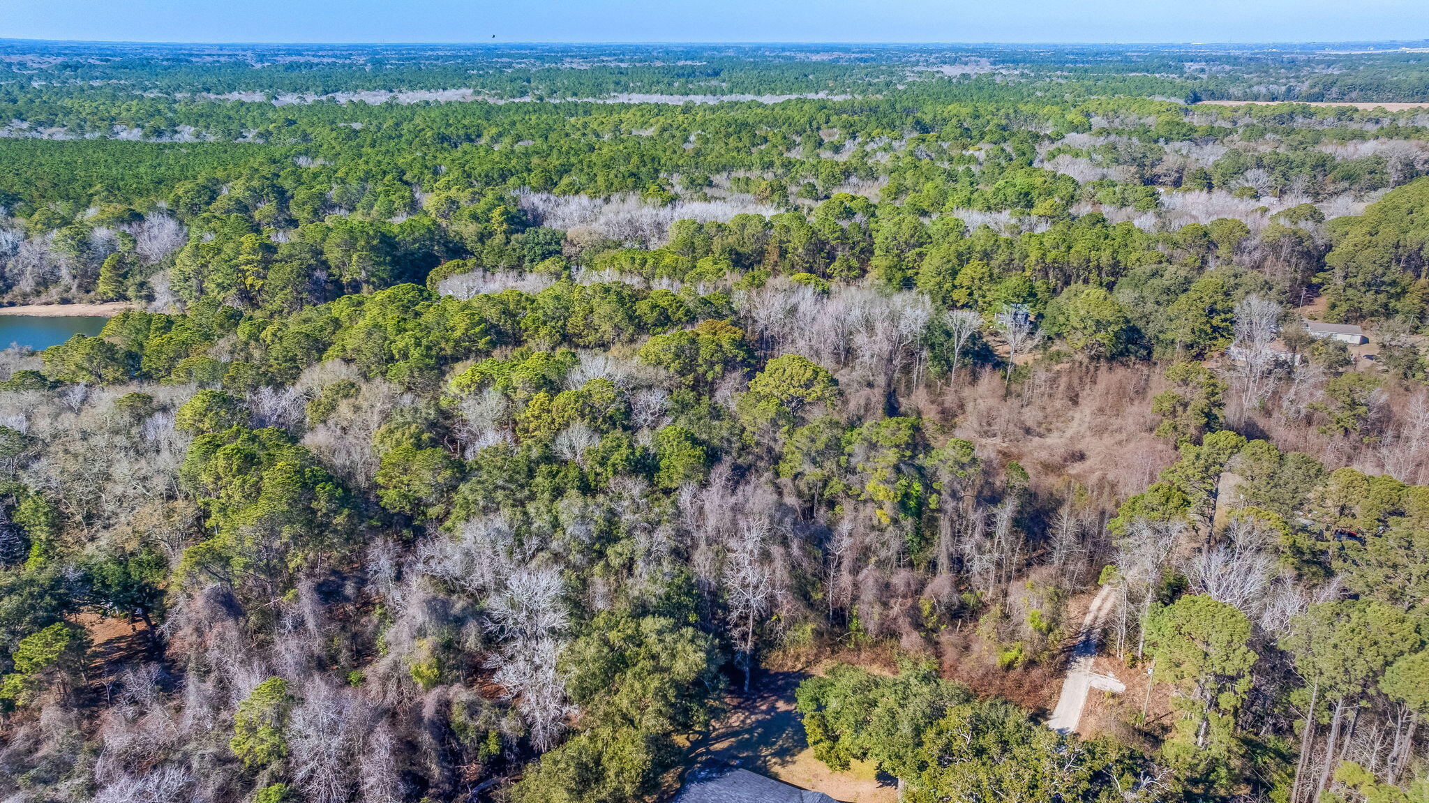3149 Thomas Jones Road Johns Island, SC 29455 - Photo 9 of 17 8