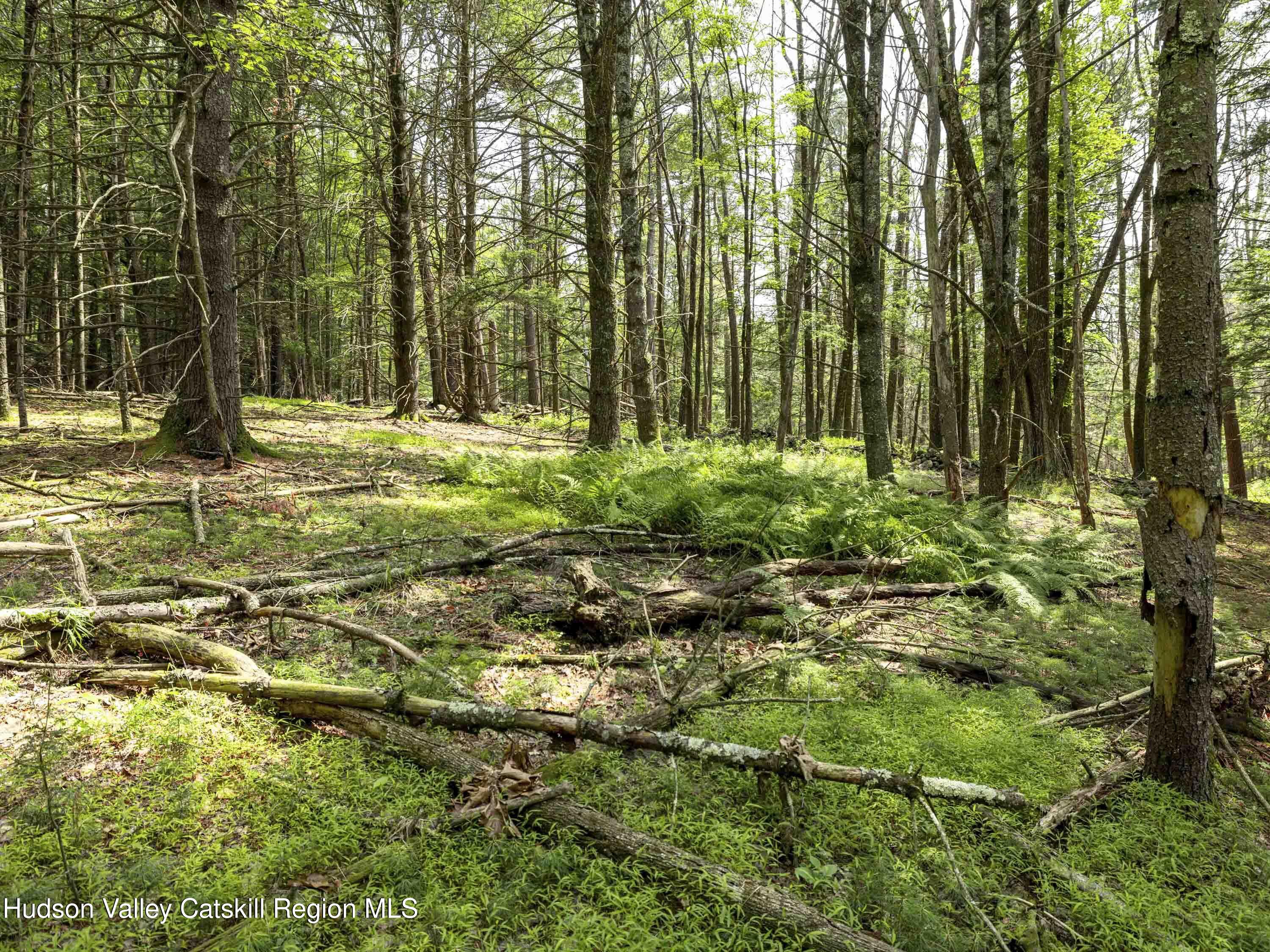 154 Lang Road Accord, NY 12404 - Photo 23 of 40 Lang Road Accord NY 12404 - 16