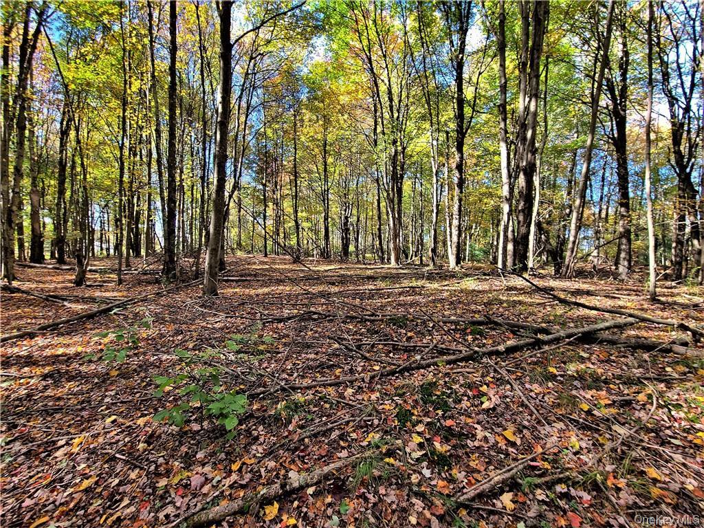 Lot 5.4 Kaufman Road Monticello, NY 12701 - Photo 42 of 45