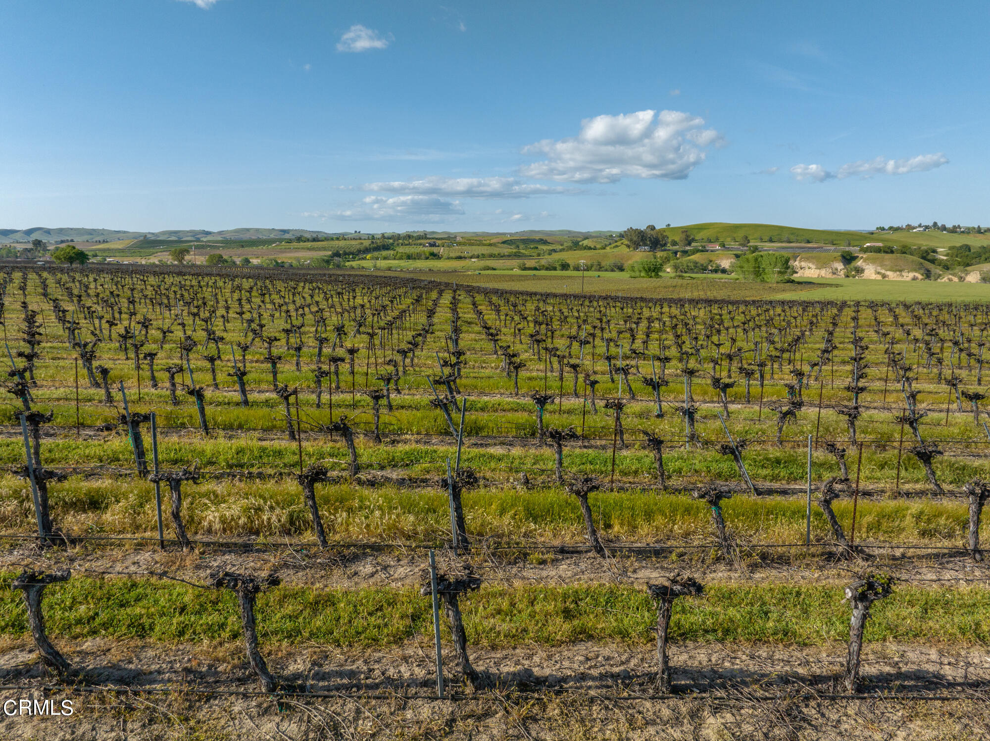 6060 Jardine Road Paso Robles, CA 93446 - Photo 49 of 74 a view of an ocean