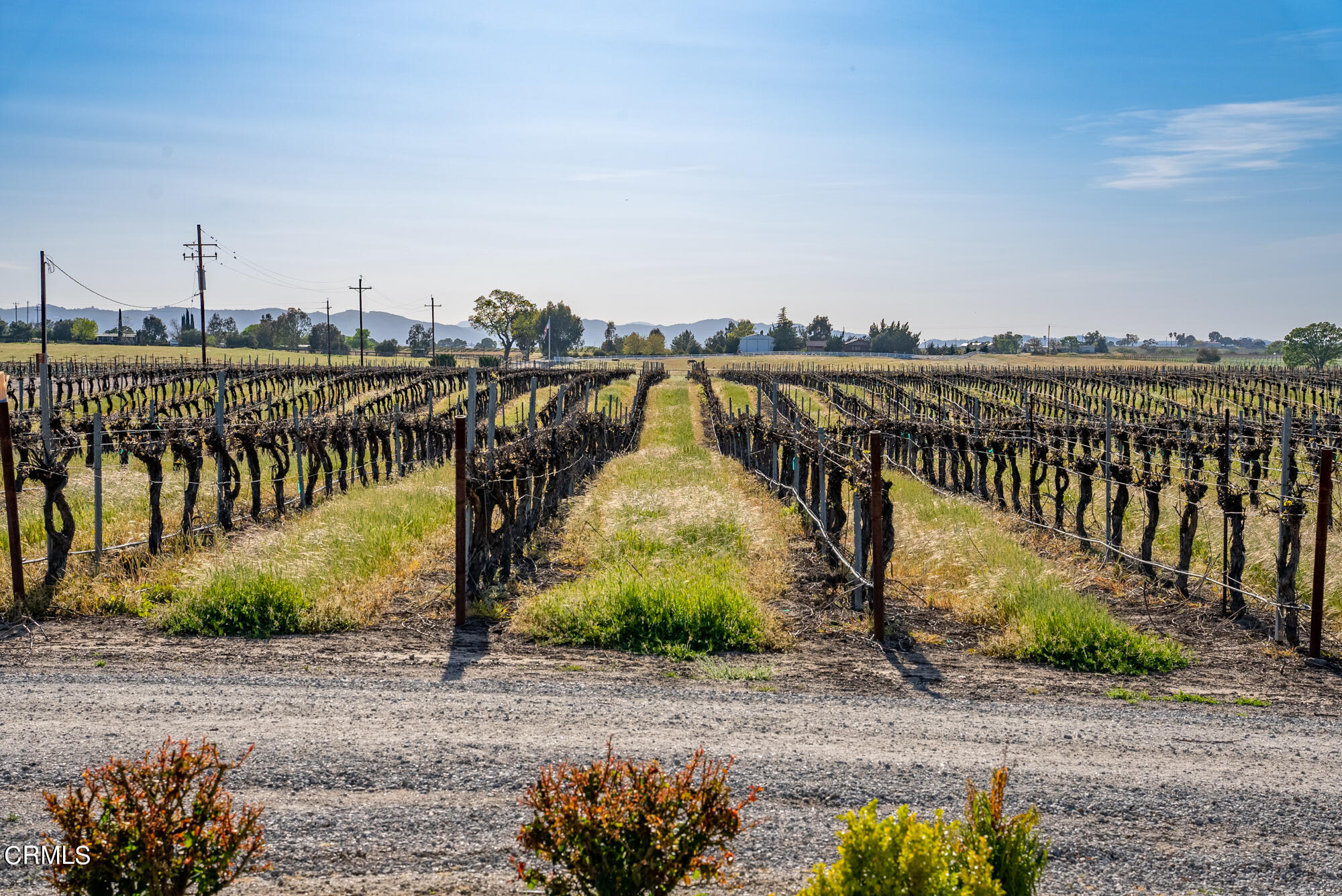 6060 Jardine Road Paso Robles, CA 93446 - Photo 53 of 74 Images-21