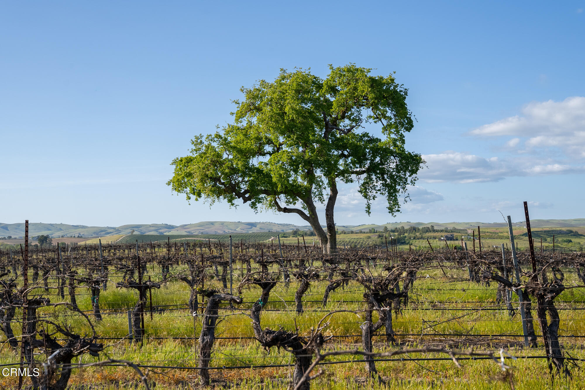 6060 Jardine Road Paso Robles, CA 93446 - Photo 57 of 74 Images-25