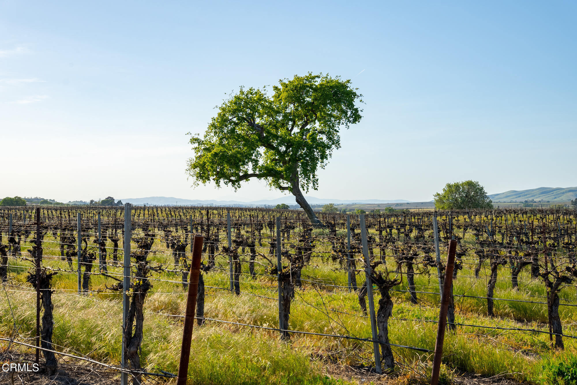 6060 Jardine Road Paso Robles, CA 93446 - Photo 58 of 74 Images-30