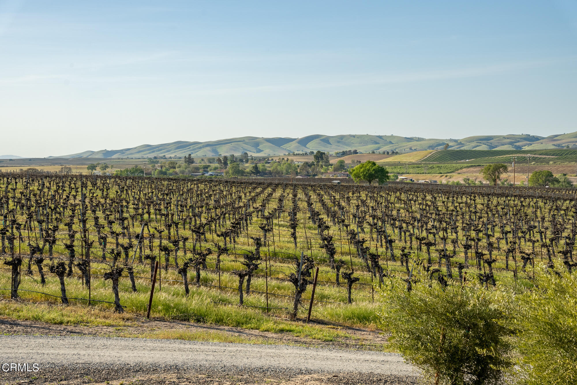 6060 Jardine Road Paso Robles, CA 93446 - Photo 62 of 74 Images-38