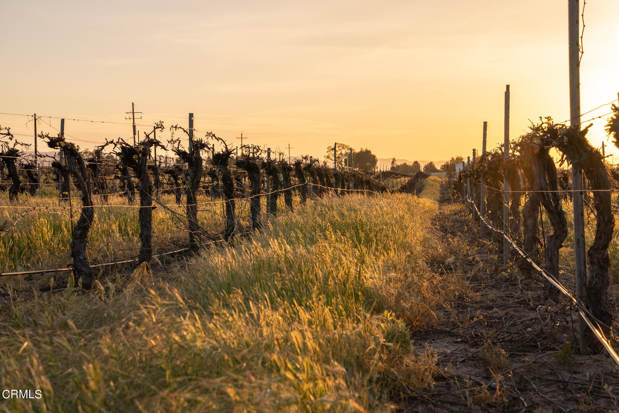 6060 Jardine Road Paso Robles, CA 93446 - Photo 64 of 74 a view of a large body of water with a building in the background