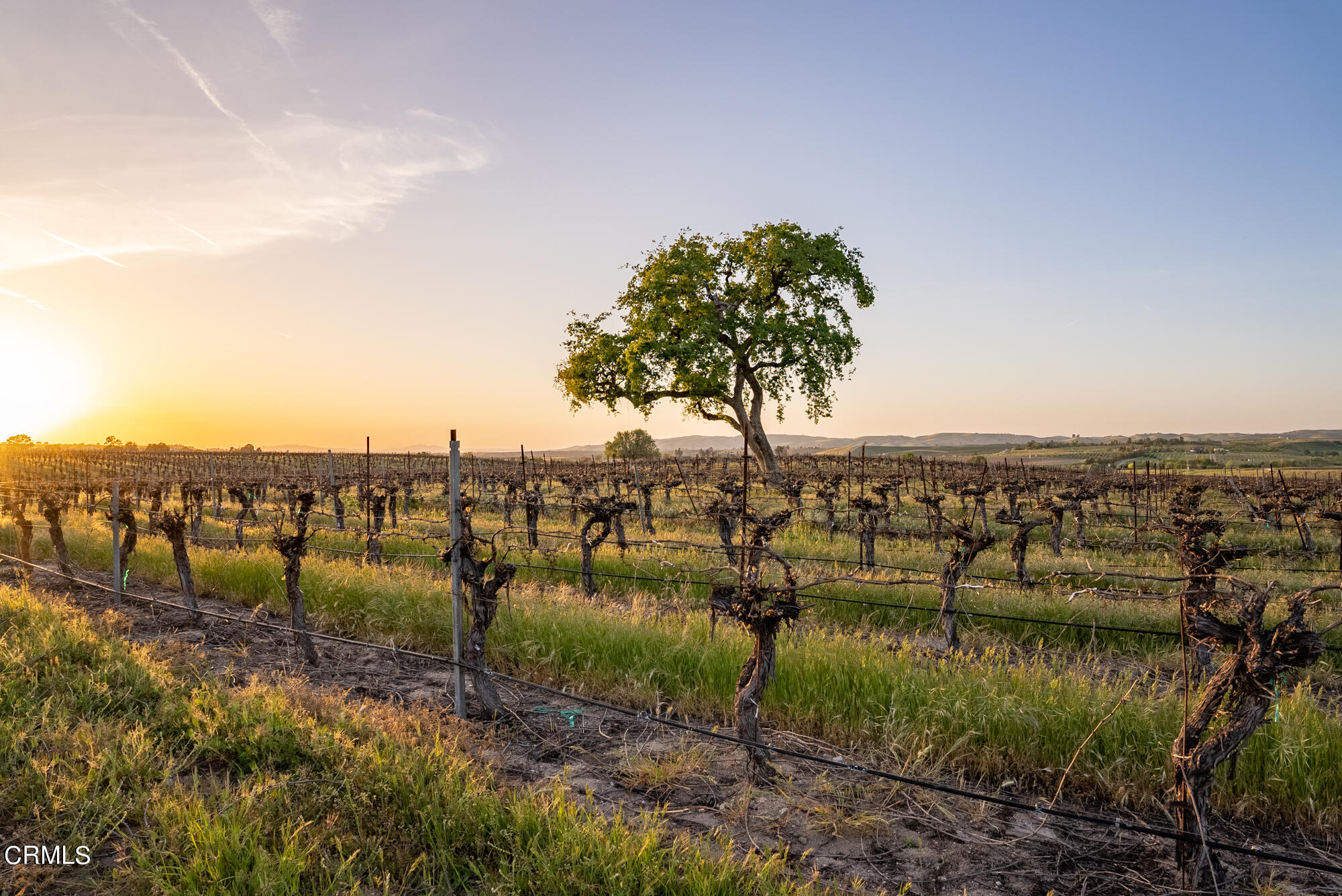 6060 Jardine Road Paso Robles, CA 93446 - Photo 65 of 74 a view of a large body of water with a building in the background