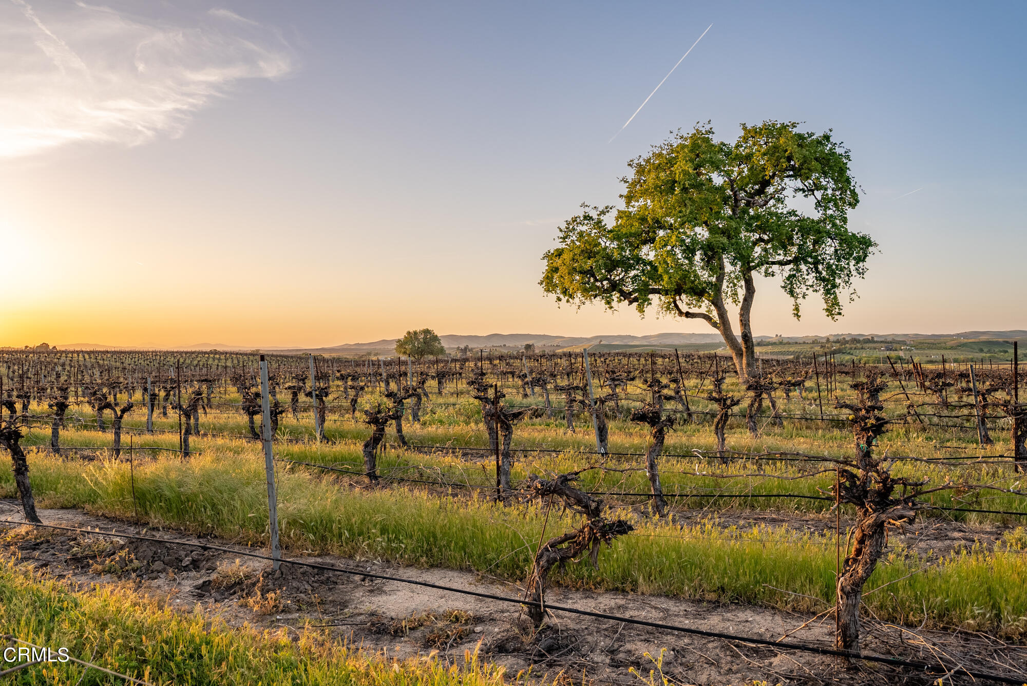 6060 Jardine Road Paso Robles, CA 93446 - Photo 66 of 74 a view of a lake with houses