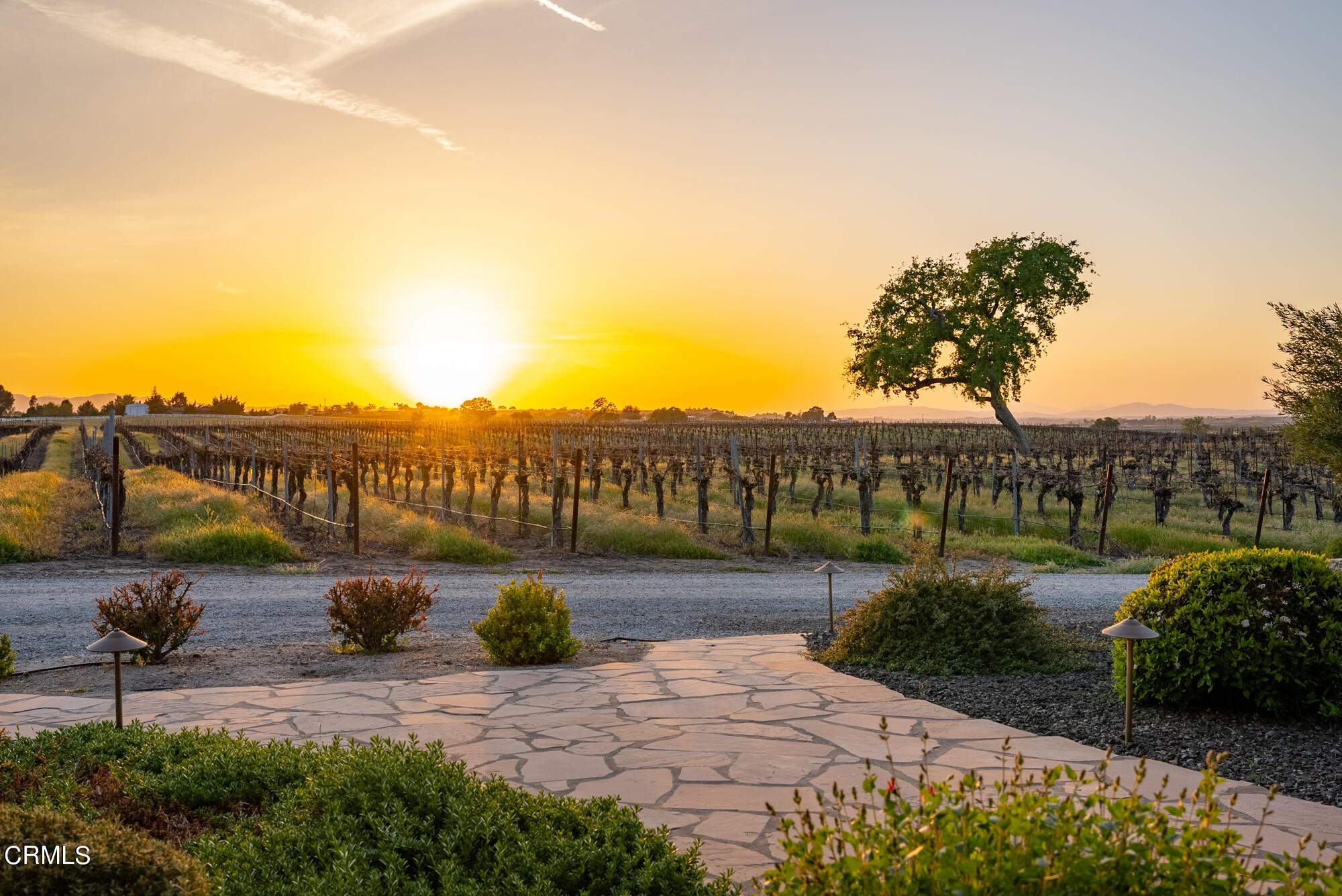 6060 Jardine Road Paso Robles, CA 93446 - Photo 69 of 74 a view of a lake with a garden and mountain view