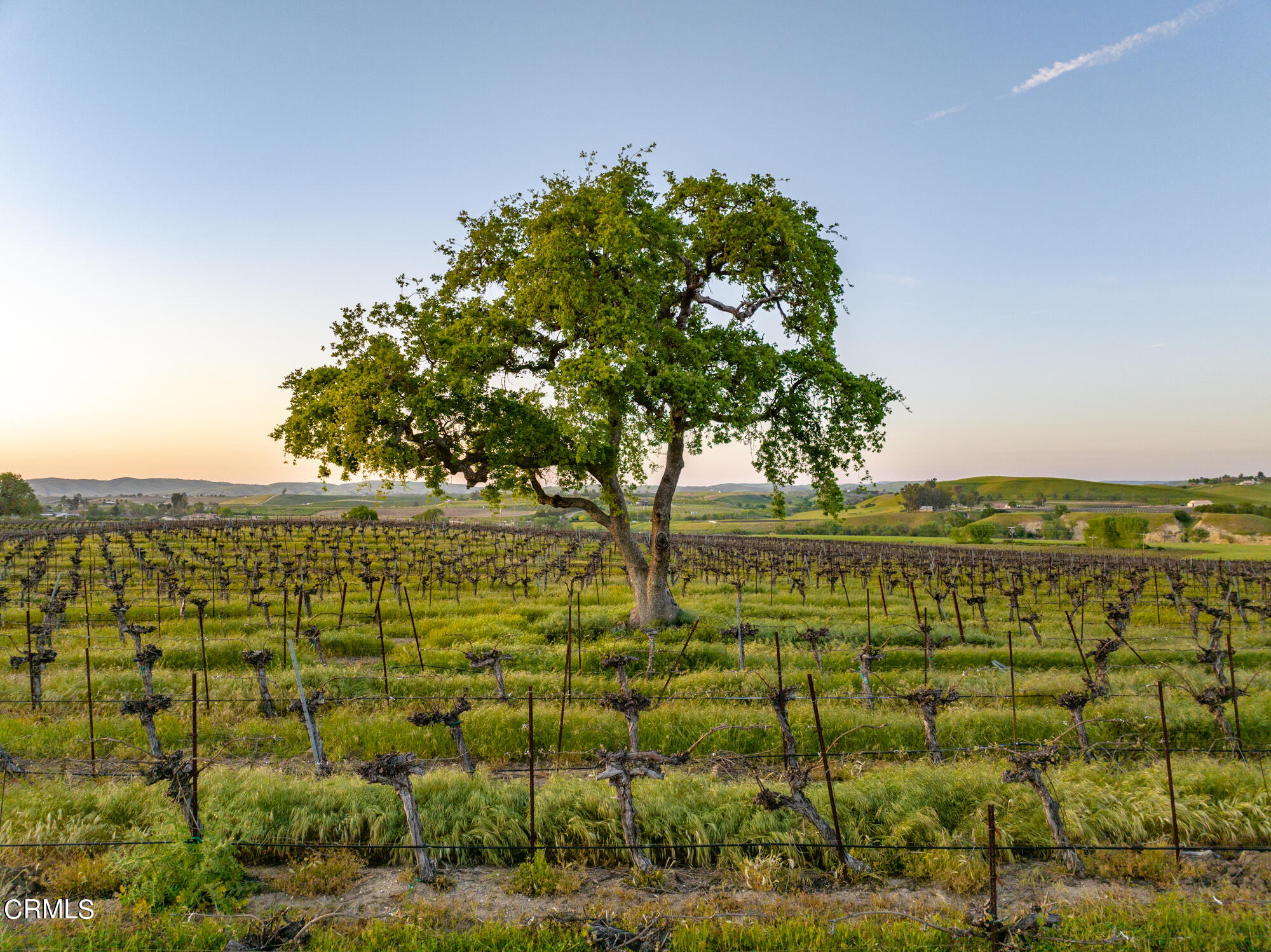 6060 Jardine Road Paso Robles, CA 93446 - Photo 72 of 74 Images-94
